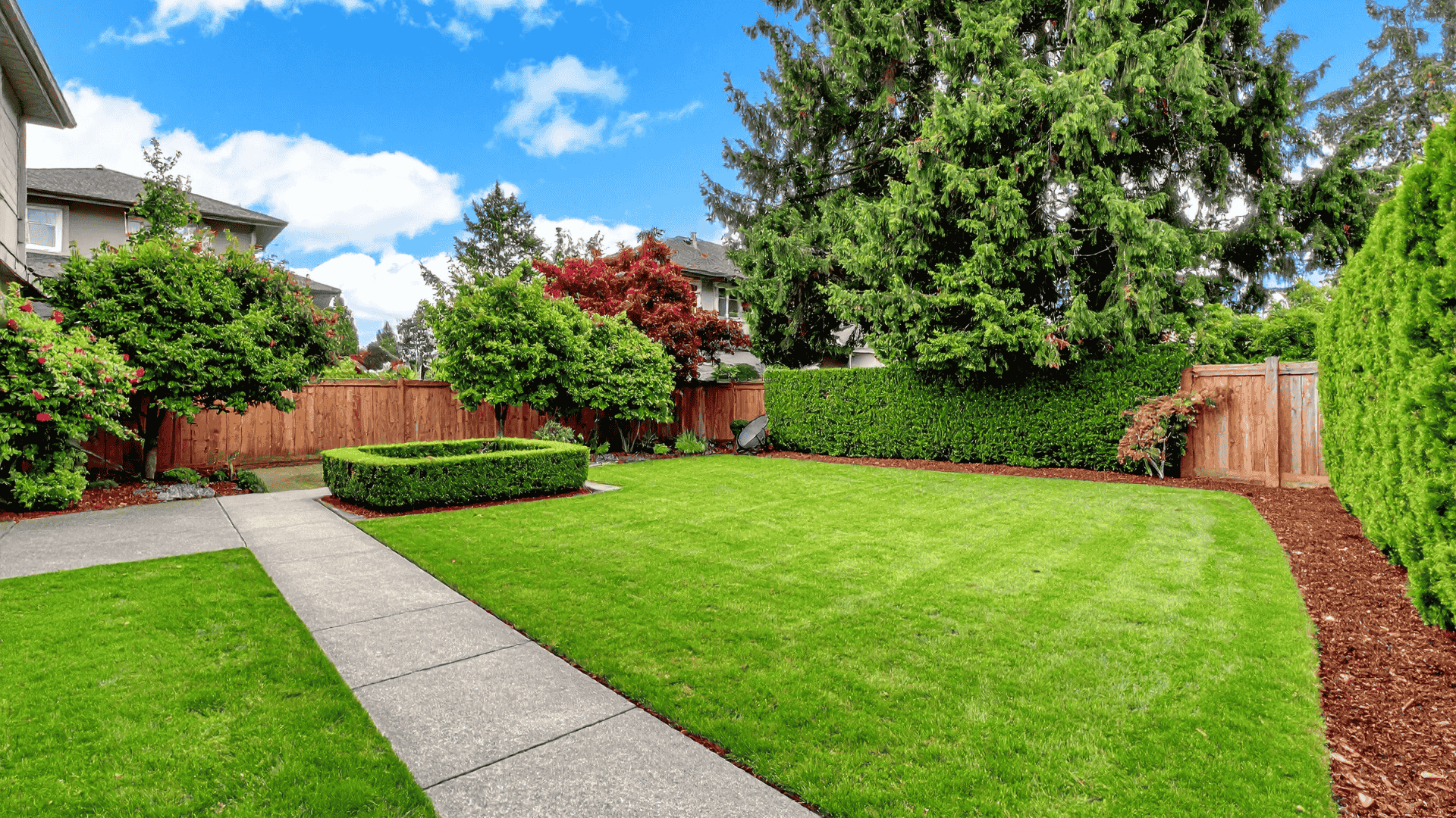 Experienced landscaper inspecting lawn condition and shaping shrubs with precision tools