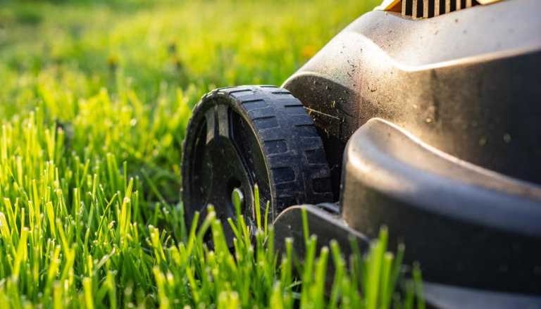 Experienced lawn professional applying seasonal treatment to address Perry, GA’s clay soil and sun exposure challenges